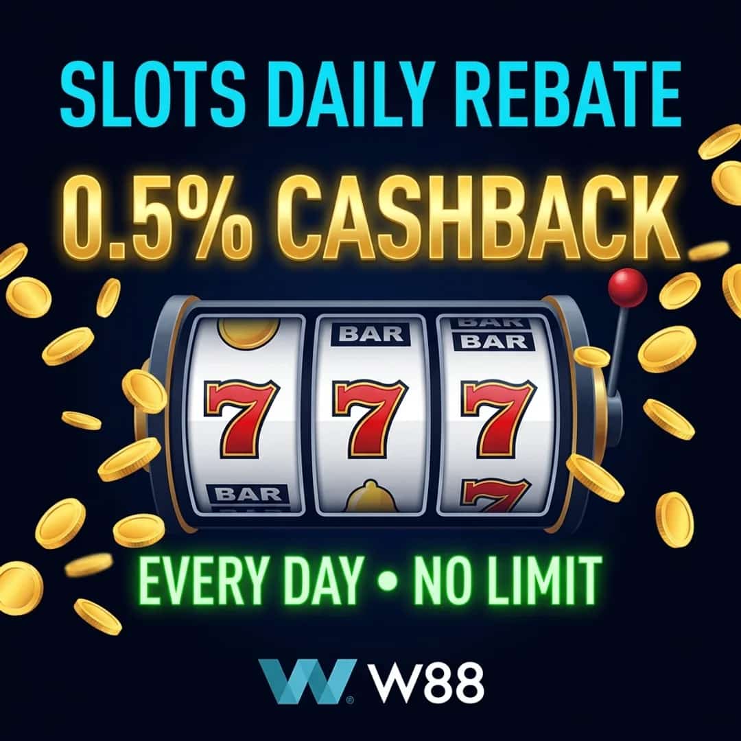 Cashback ប្រចាំថ្ងៃ 0.5% សម្រាប់ Slots
