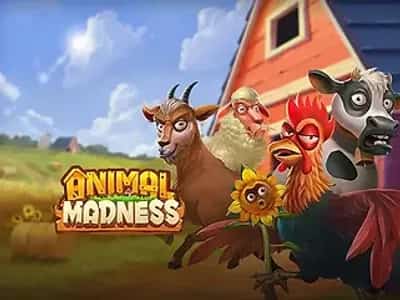 Animal Madness